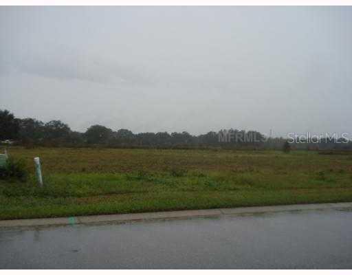 17415 Varona Pl., Lutz, FL 33548