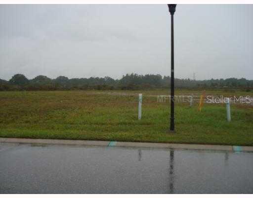 17411 Varona Pl., Lutz, FL 33548