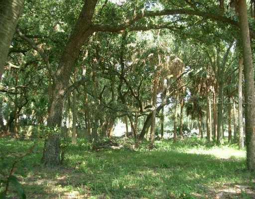8906 Key West Island Way, Riverview, FL 33578