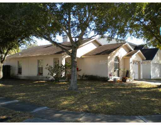 10166 Cedar Dune Dr., Tampa, FL 33624