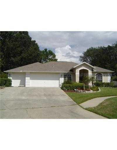 16901 Raven Ridge Pl., Lutz, FL 33549