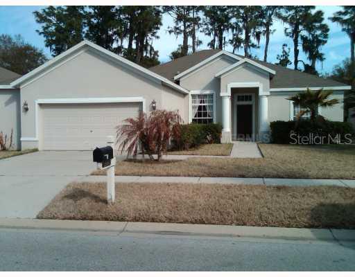 12806 Cattail Shore Ln., Riverview, FL 33579