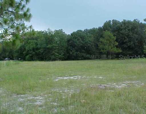 2502 Rustic Oaks Dr., Lutz, FL 33559
