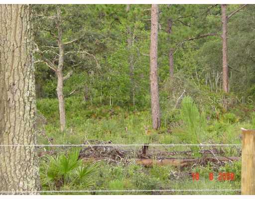 [Address Hidden by Seller], Weeki Wachee, FL 34614