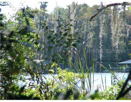 5914 Fitzgerald Rd., Odessa, FL 33556