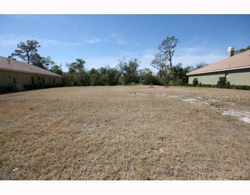 7109 Timber Ridge Way, Land O Lakes, FL 34637