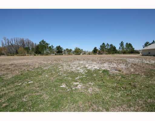 21237 Quiet Haven Ct., Land O Lakes, FL 34637