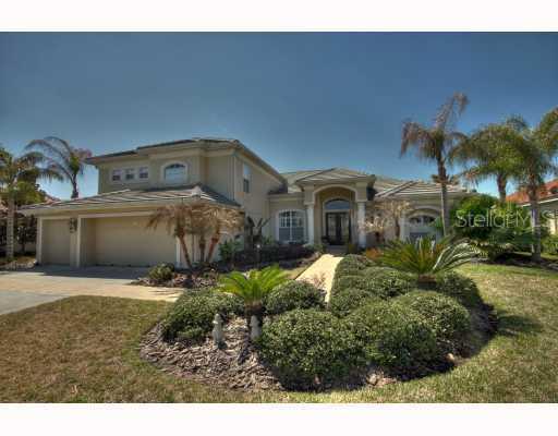 17230 Emerald Chase Dr., Tampa, FL 33647