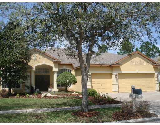 3519 Cordgrass Dr., Valrico, FL 33596