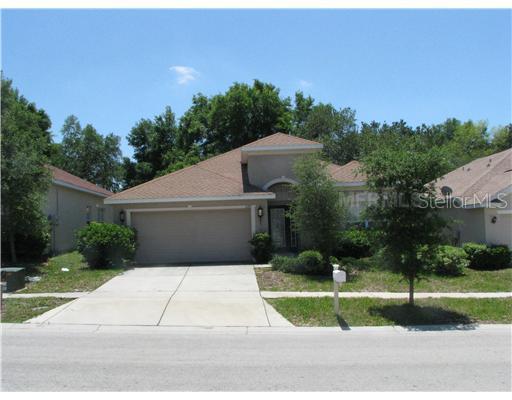 1139 Emerald Hill Way, Valrico, FL 33594