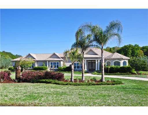 1514 Green Meadow Dr., Lutz, FL 33549