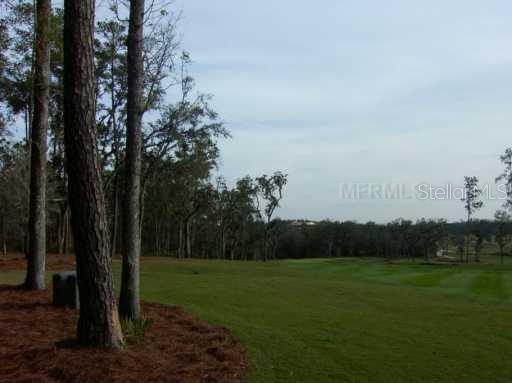 4697 Hickory Oak Dr., Brooksville, FL 34601