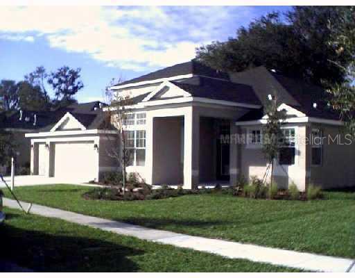 2406 Fountain Grass Dr., Valrico, FL 22594