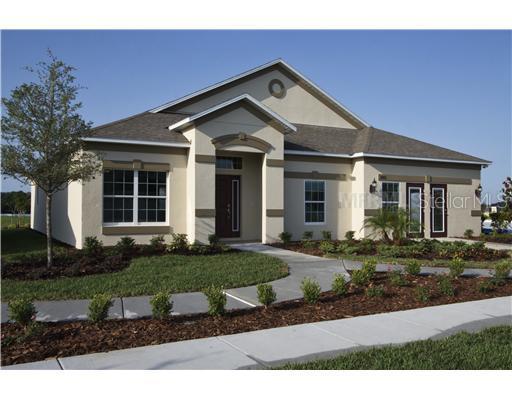 1509 Rhodeswell Ln., Seffner, FL 33584