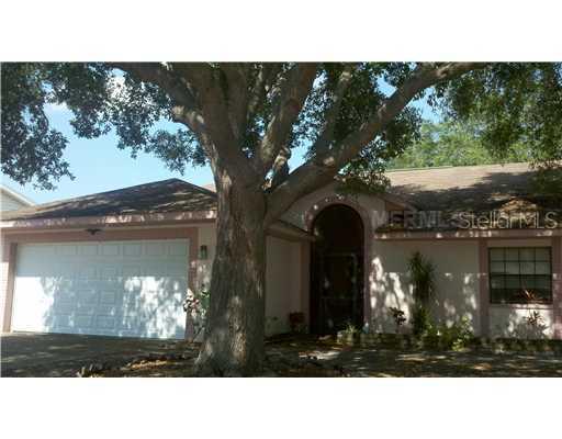 12908 Tikiwood Ct., Riverview, FL 33579