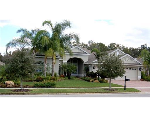 17363 Emerald Chase Dr., Tampa, FL 33647