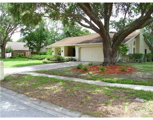 18239 Clear Lake Drive Dr., Lutz, FL 33548