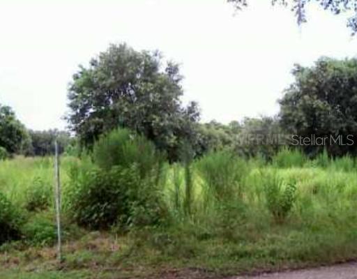 4210 Bruton Rd., Plant City, FL 33565