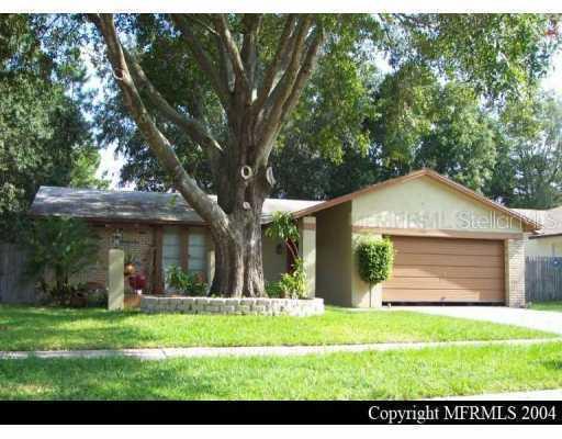 1904 Blind Pond Ave., Lutz, FL 33549