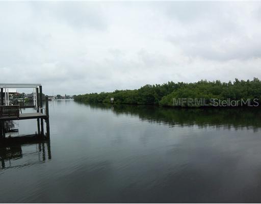 1007 Silver Palm Way, Apollo Beach, FL 33572