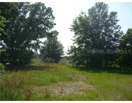 18202 Livingston Ave., Lutz, FL 33559