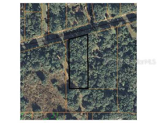 [Address Hidden by Seller], Dover, FL 33527