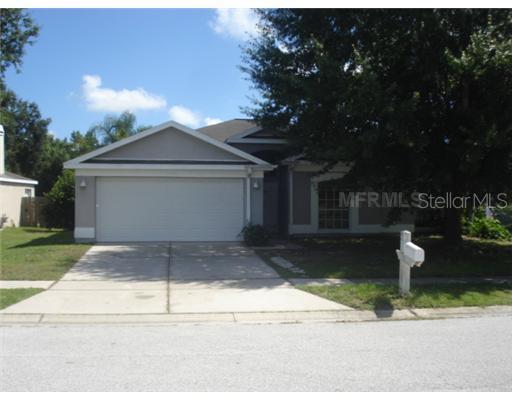 28513 Tall Grass Dr., Wesley Chapel, FL 33543