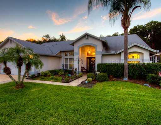 28415 Openfield Loop, Wesley Chapel, FL 33543