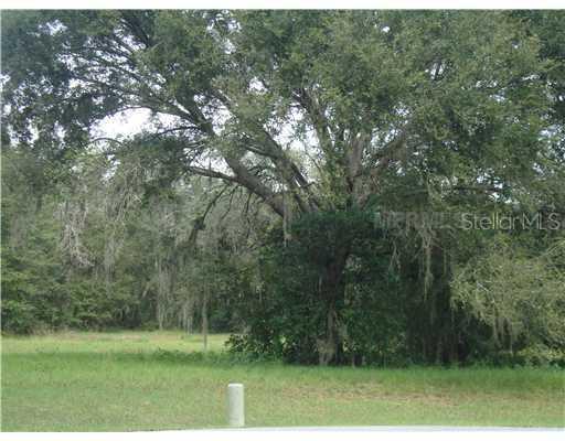 16335 Emerald Cove Dr., Lutz, FL 33549