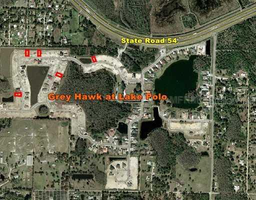 15321 Azra Dr., Odessa, FL 33556