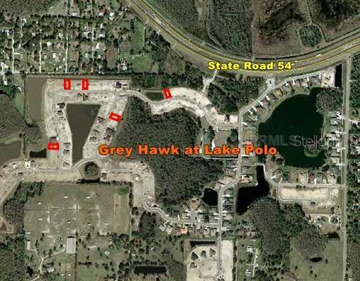 15027 Wind Whisper Dr., Odessa, FL 33556