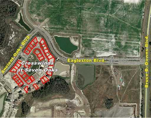 4458 Wildstar Cir., Wesley Chapel, FL 33544