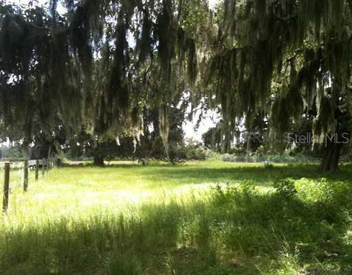 Mizell Road, Brooksville, FL 34602