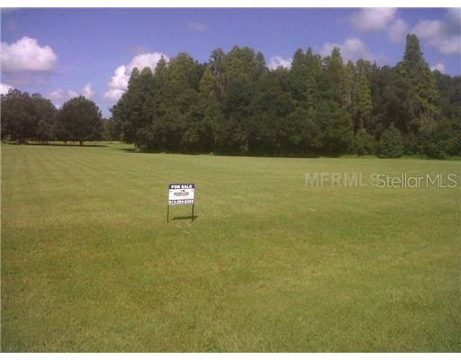 7202 Brittani Reserve Pl., Plant City, FL 33565