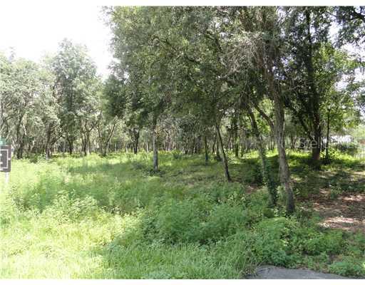 0 Deer Herd, Plant City, FL 33565