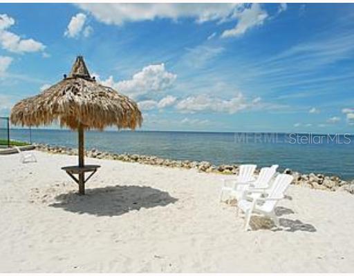 2506 N Rocky Point Dr. #437, Tampa, FL 33607