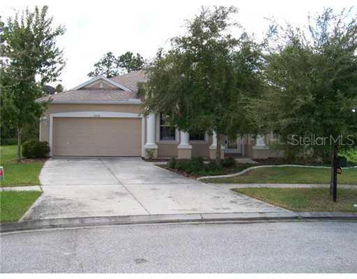 27250 Firebush Dr., Wesley Chapel, FL 33544