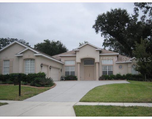 1607 Brilliant Cut Way, Valrico, FL 33594