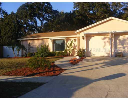 3924 Oak Hammock Dr., Brandon, FL 33511