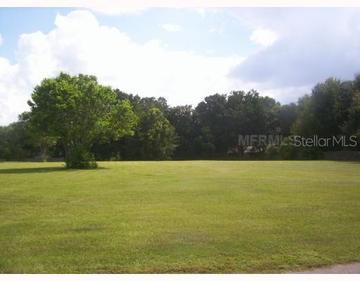 517 Cullaro Ln., Lutz, FL 33549