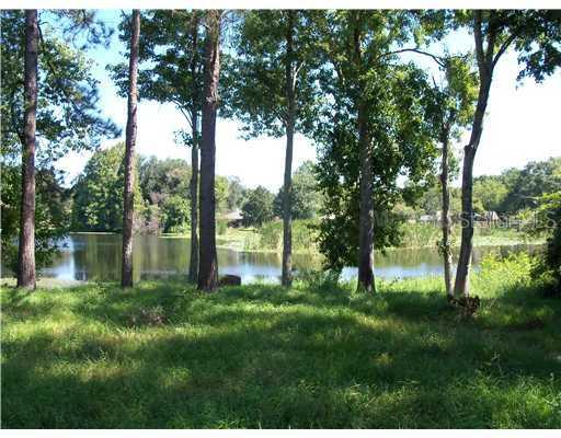 18623 Hanna Rd., Lutz, FL 33549