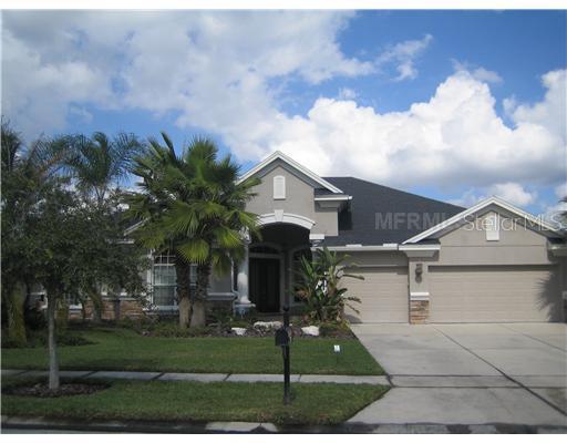 26939 Winged Elm Dr., Wesley Chapel, FL 33544
