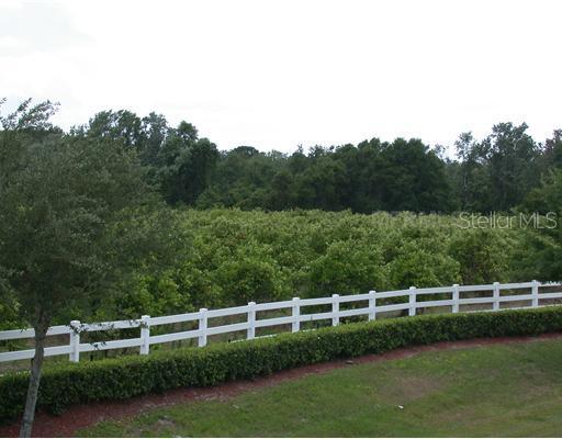 11401 Trotting Down Dr., Odessa, FL 33556