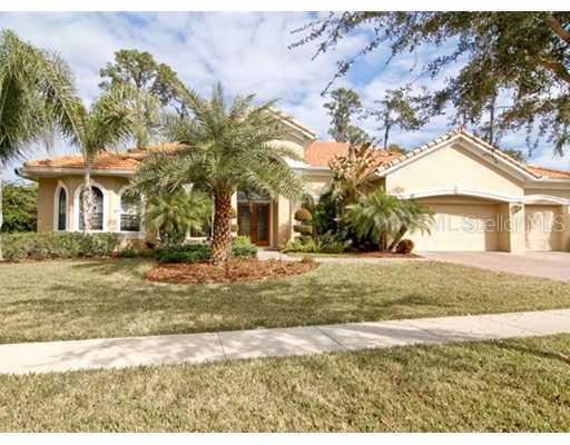 7100 Timber Ridge Way, Land O Lakes, FL 34637