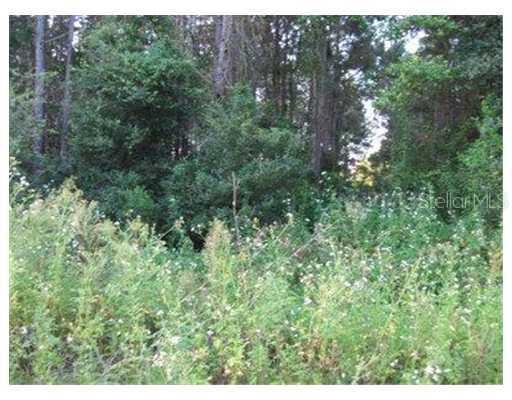 6813 Peyton Dr., Seffner, FL 33584