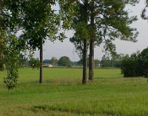36007 Kalamazoo Dr., Eustis, FL 32776