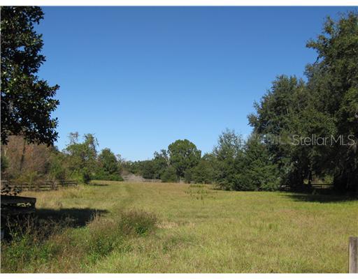 1926 Wallace Rd., Lutz, FL 33549