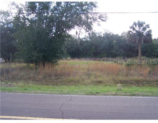 2002 Butch Cassidy Tr., Wimauma, FL 33598