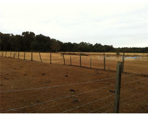 Knights Griffin Rd., Plant City, FL 33565