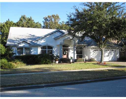 28431 Openfield Loop, Wesley Chapel, FL 33543